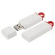 223002-32 MENGÜCEKLİLER PLASTİK USB BELLEK (32 GB)