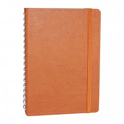 303125 SÖĞÜTÖZÜ TABA SPİRALLİ TARİHSİZ DEFTER (17X24 CM)