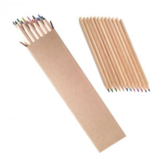 462201 BAŞYAYLA 12Lİ TAM BOY BOYAMA SETİ 