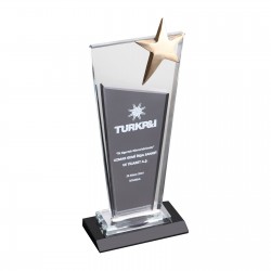 743231 İMRANLI KRİSTAL PLAKET